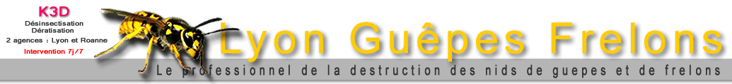 Chenilles processionnaires