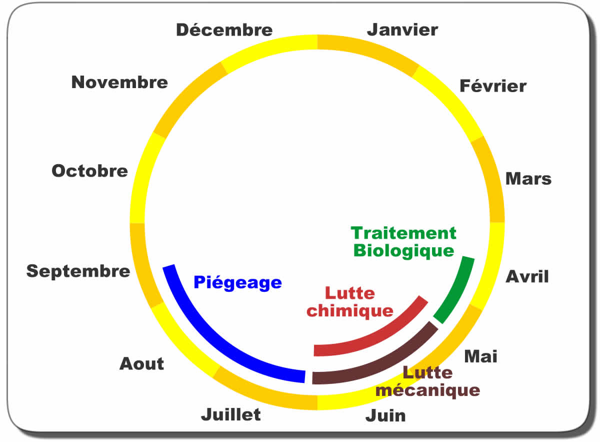 Dates de lutte processionaire du ch&ecirc;ne