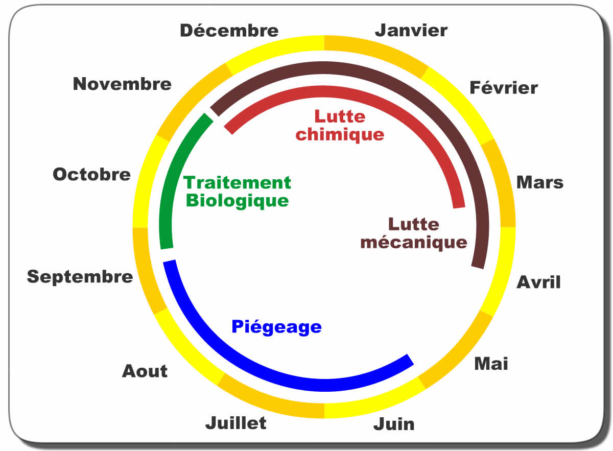 Dates de lutte processionaire du pin